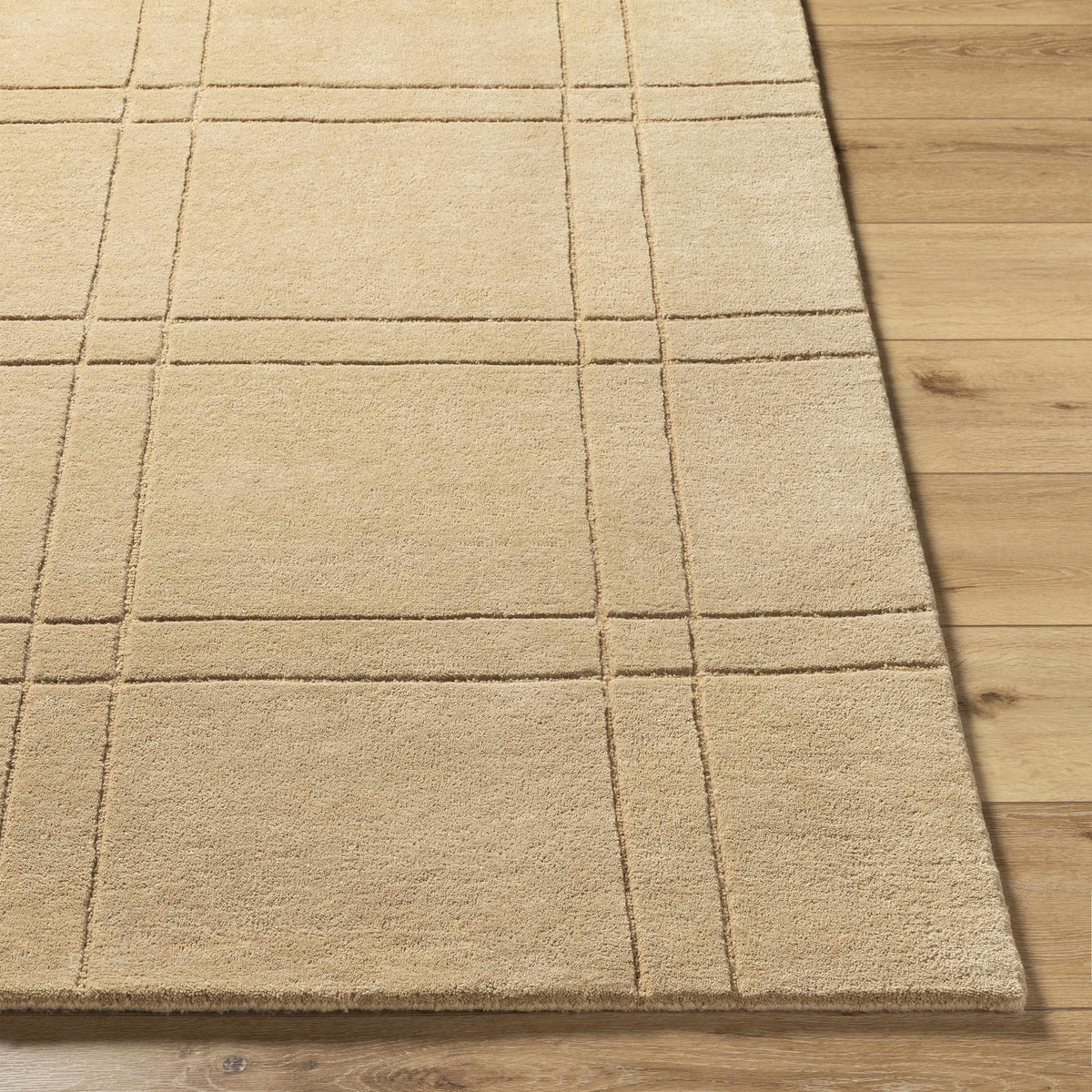 Sixto Tan Area Rug