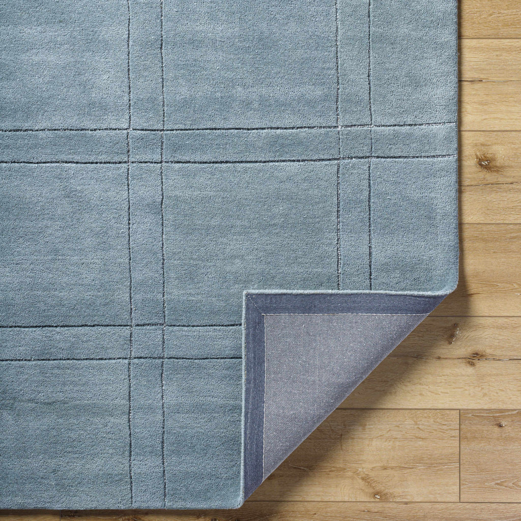 Sixto Sage Area Rug