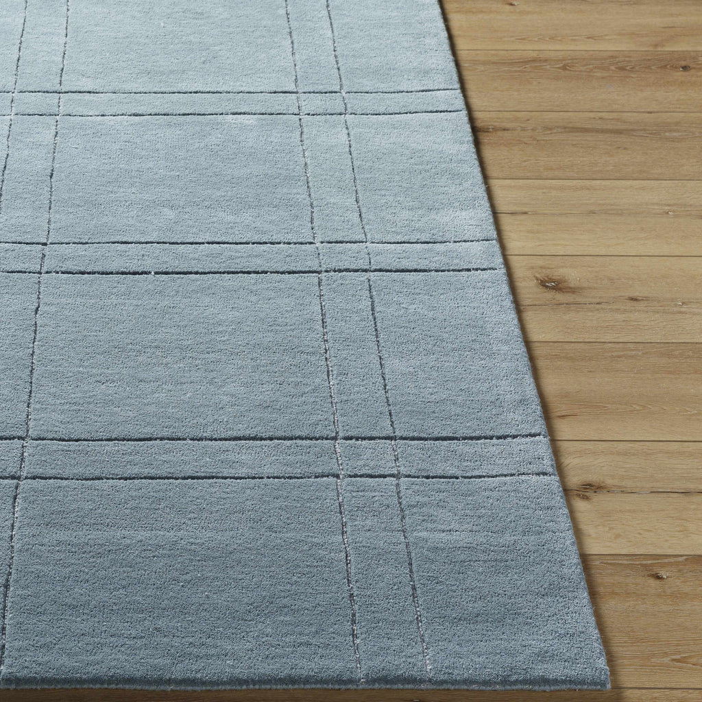 Sixto Sage Area Rug