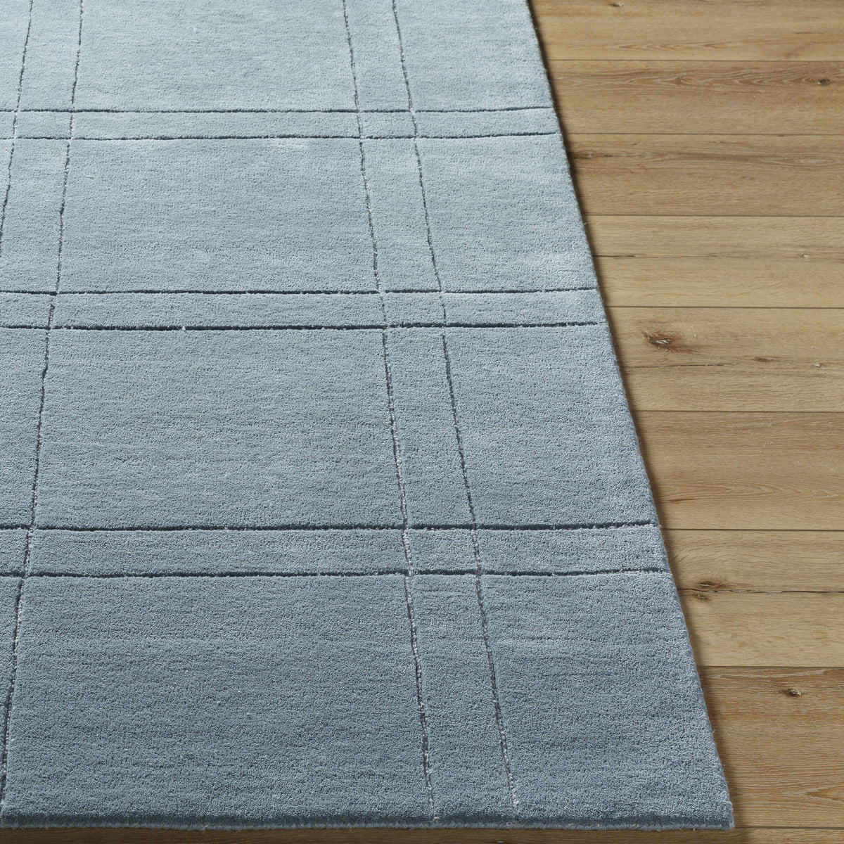 Sixto Sage Area Rug