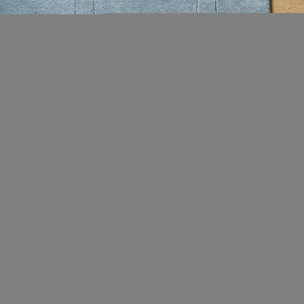 Sixto Sage Area Rug