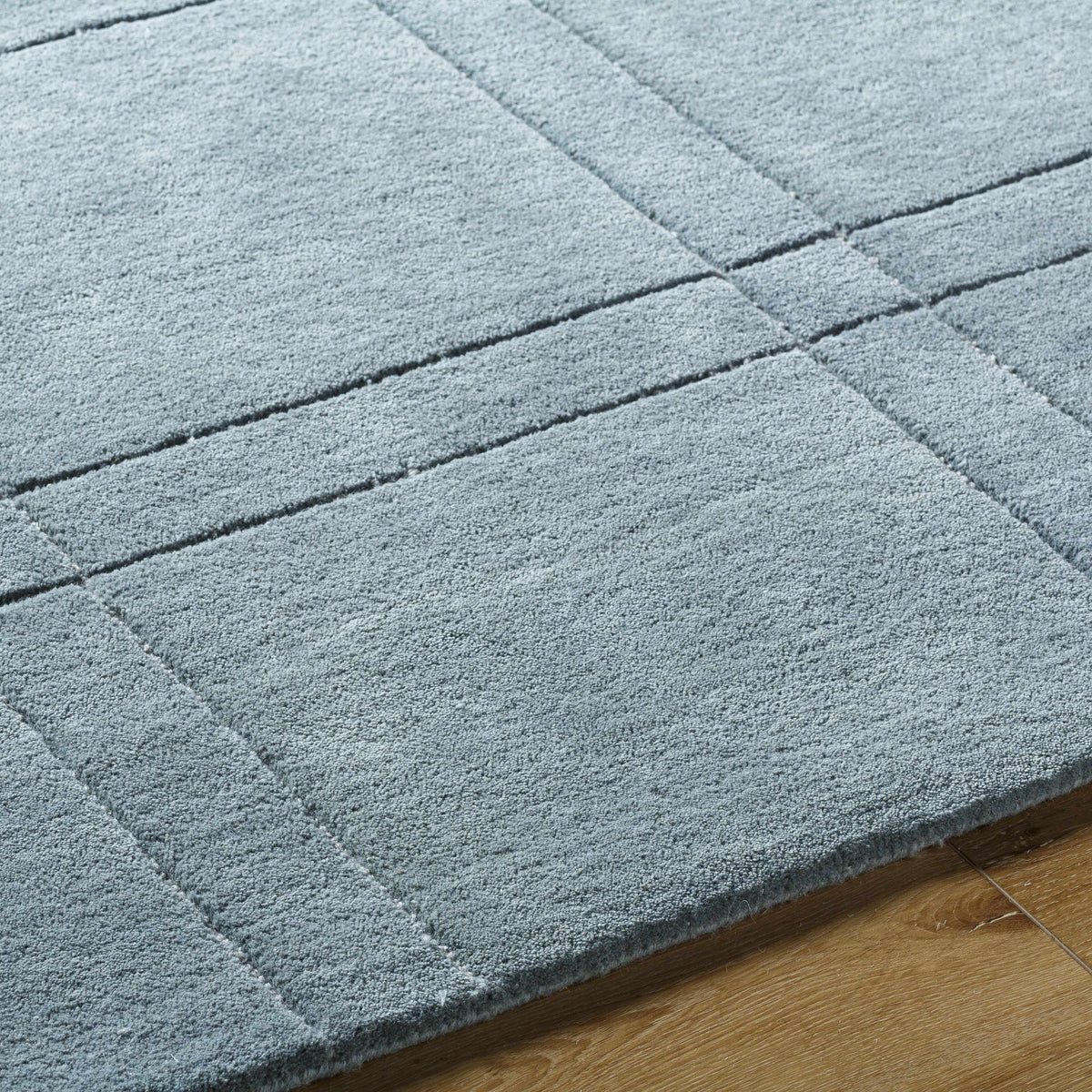 Sixto Sage Area Rug