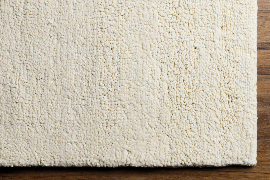Atiya Area Rug - Clearance