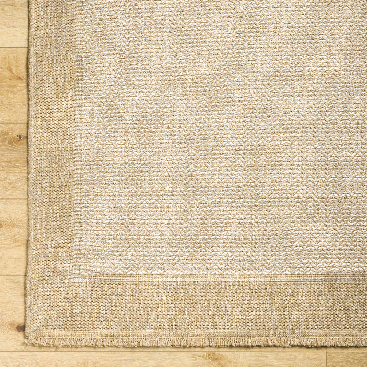 Endre Bone Indoor & Outdoor Area Rug