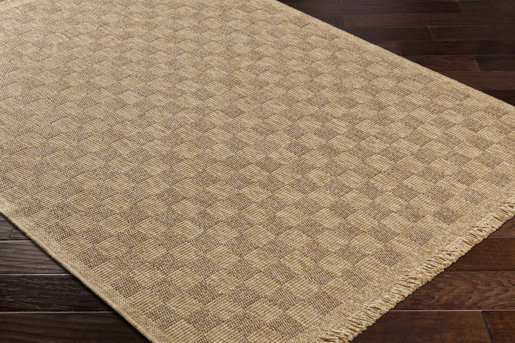 Jurek Beige Checkered Outdoor Area Rug