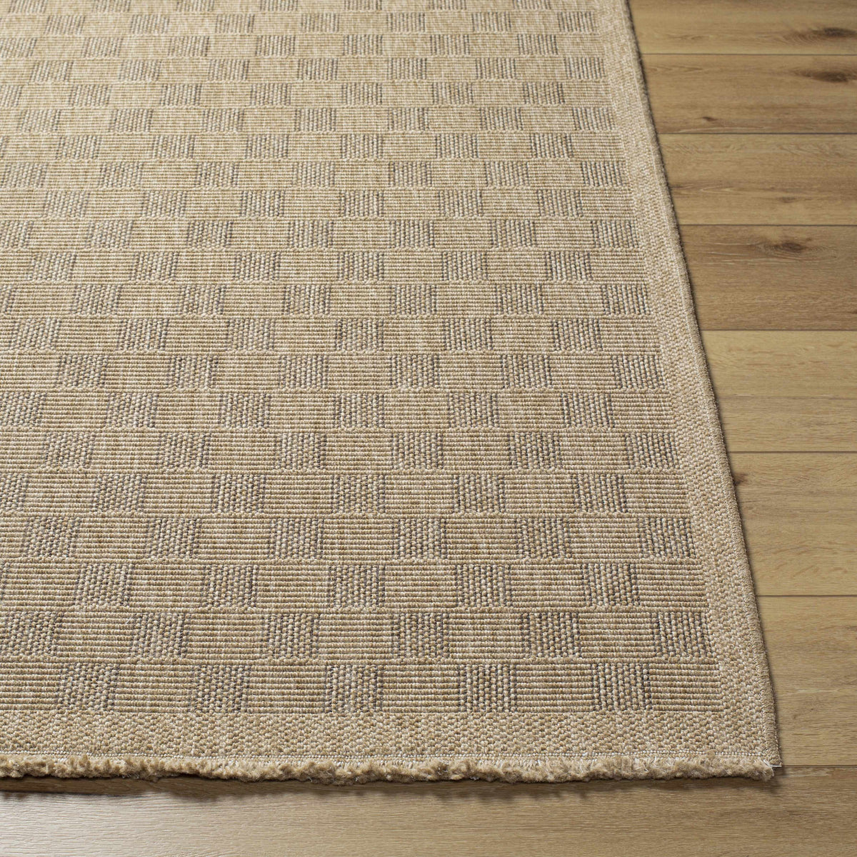 Jurek Beige Checkered Outdoor Area Rug