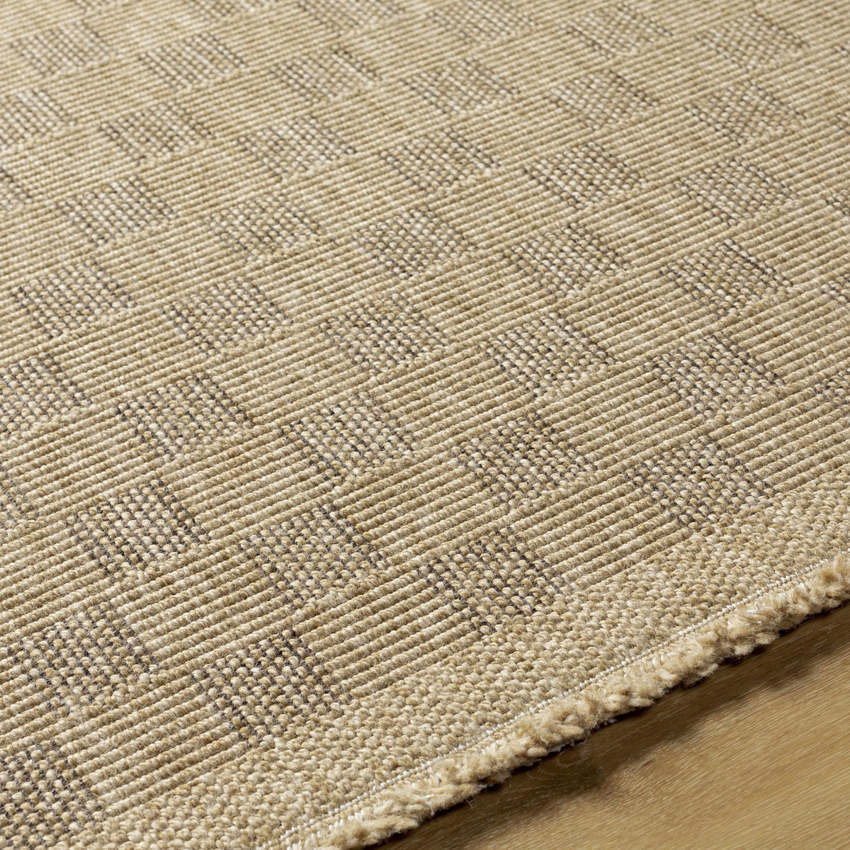 Jurek Beige Checkered Outdoor Area Rug