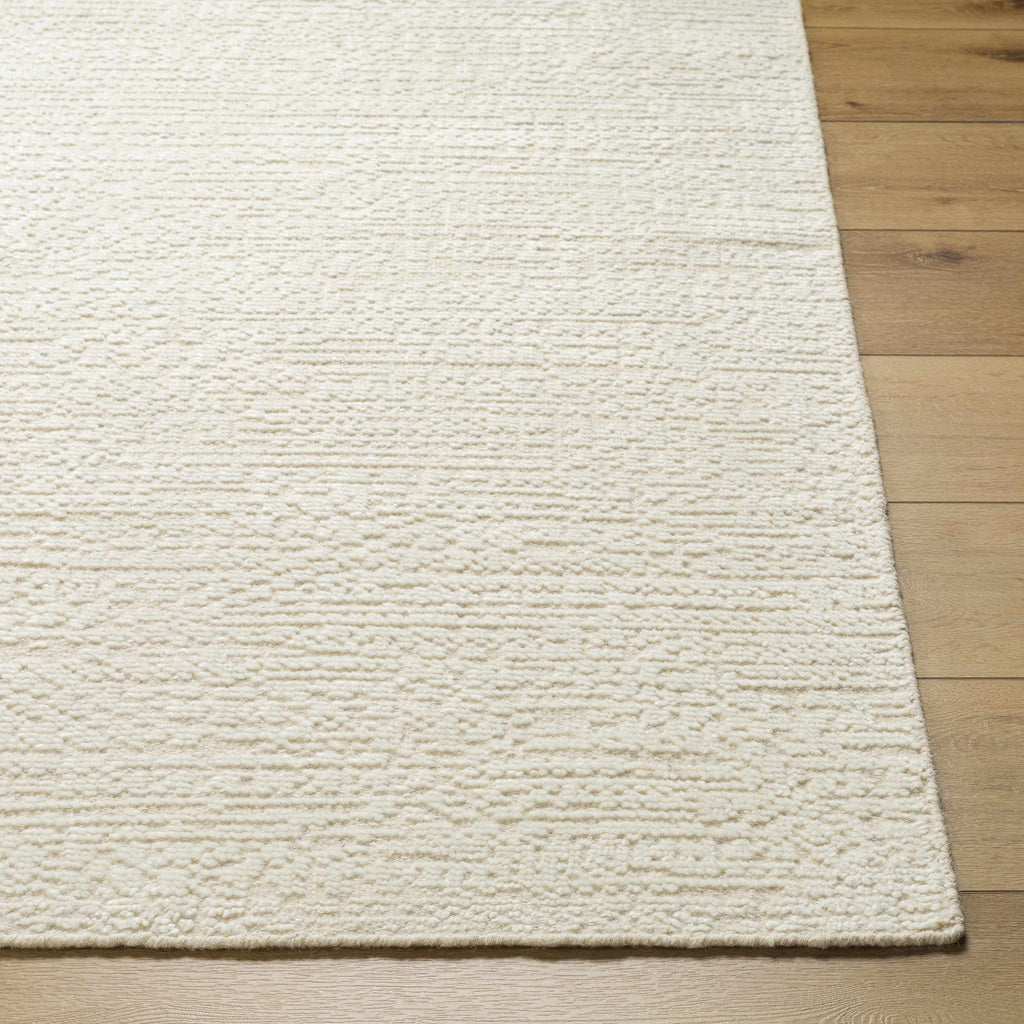 Aniya Area Rug - Clearance