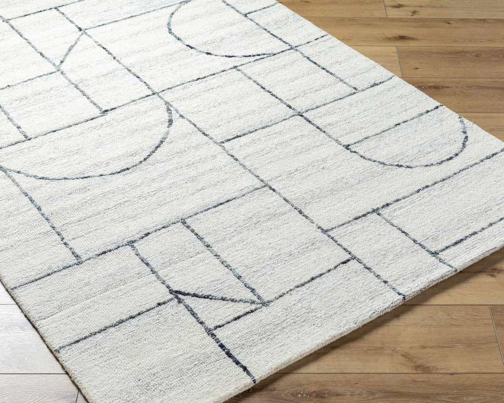 Sanaz Charcoal Area Rug - Clearance