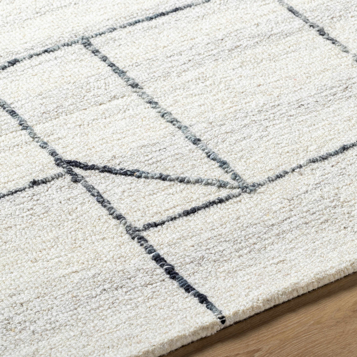 Sanaz Charcoal Area Rug - Clearance