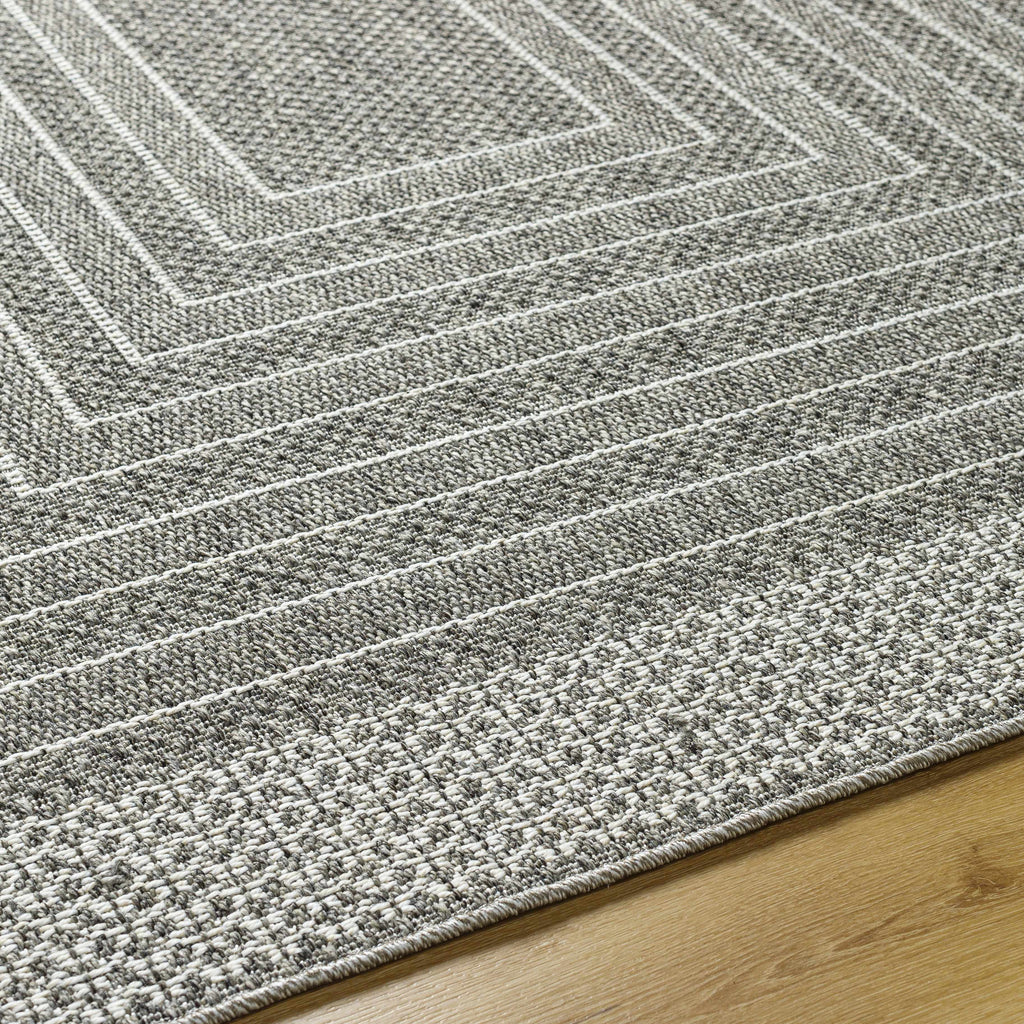 Mopsa Nickel Outdoor Area Rug