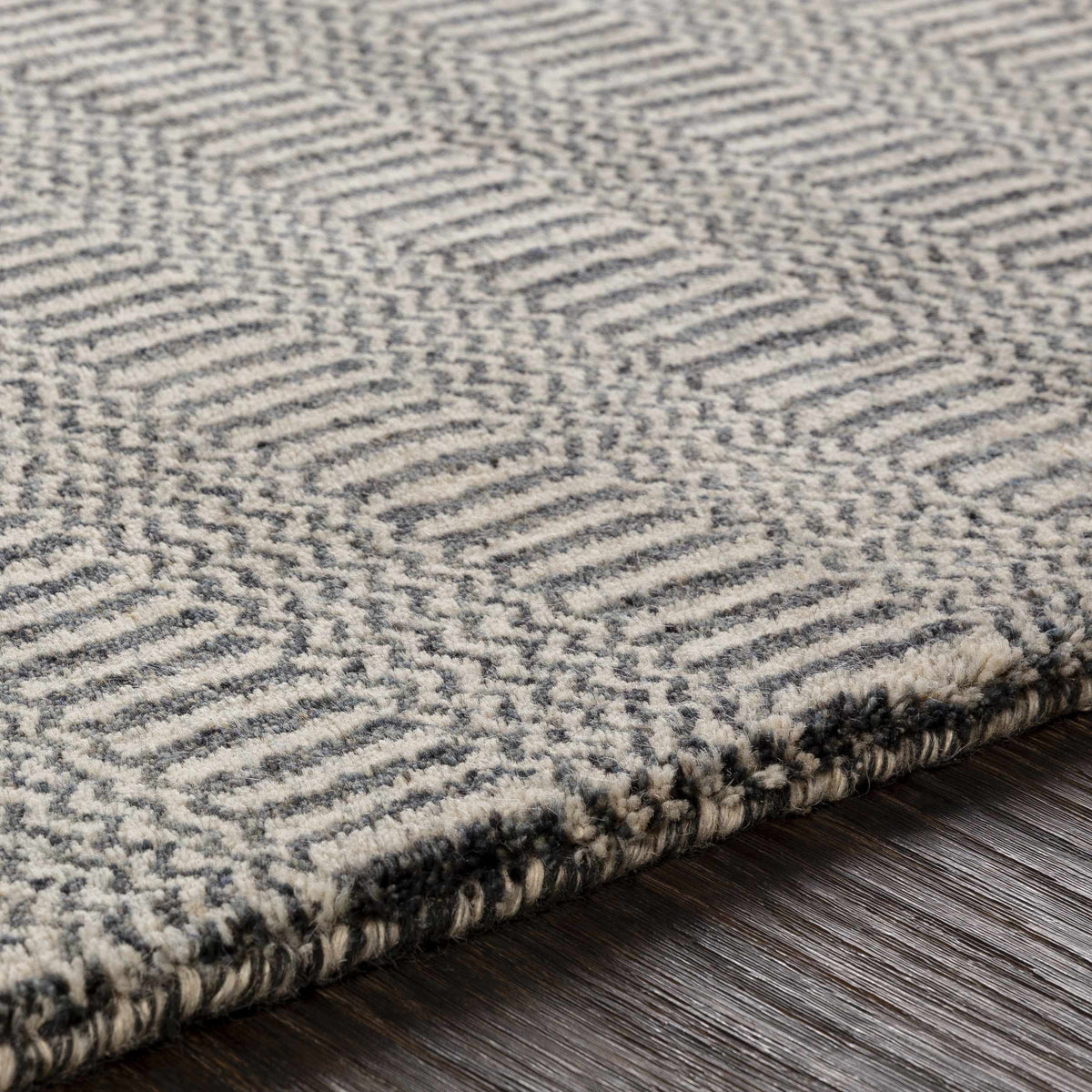Spencerport Area Rug - Clearance