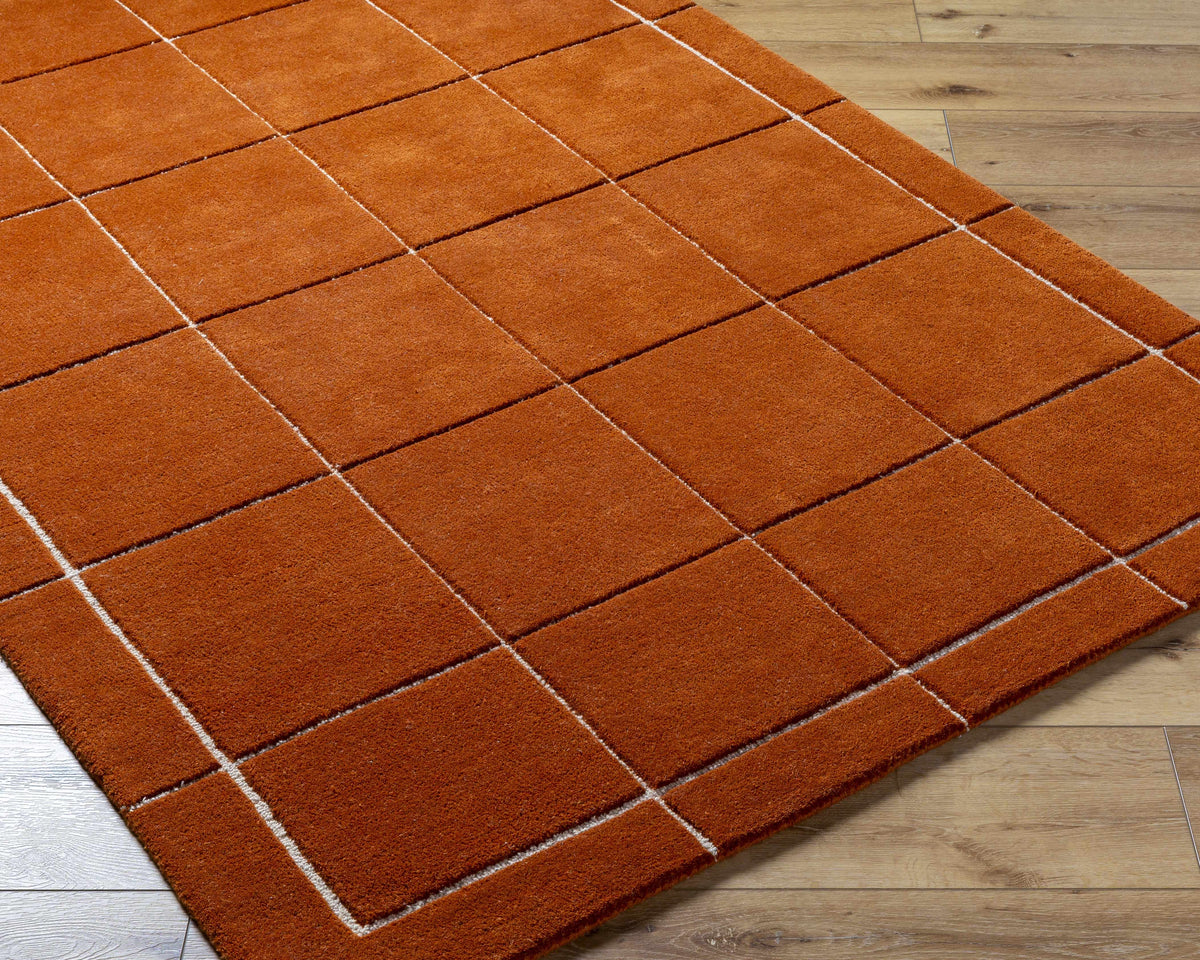 Siarl Burnt Orange Checkered Area Rug