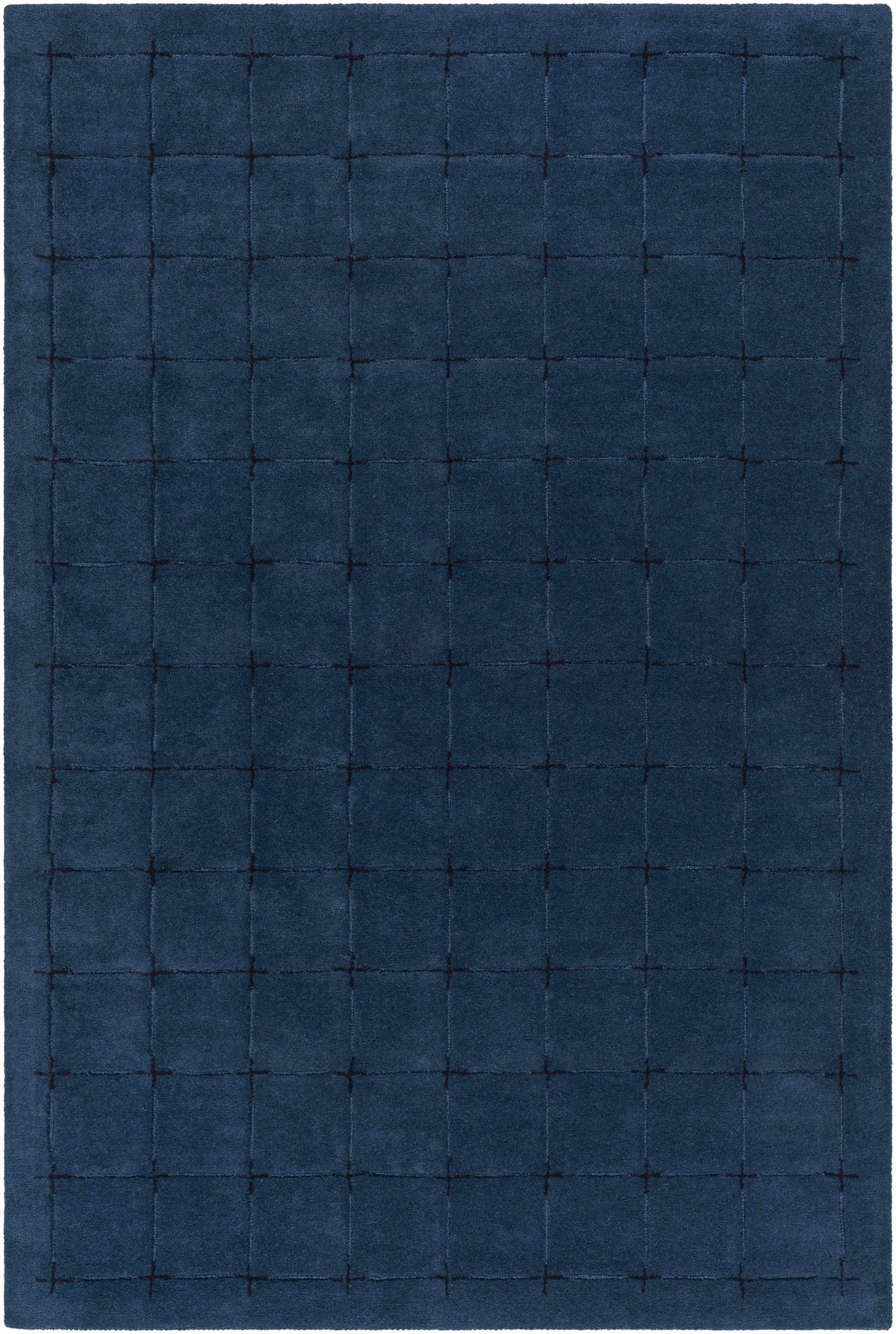Sanvi Navy Wool Area Rug