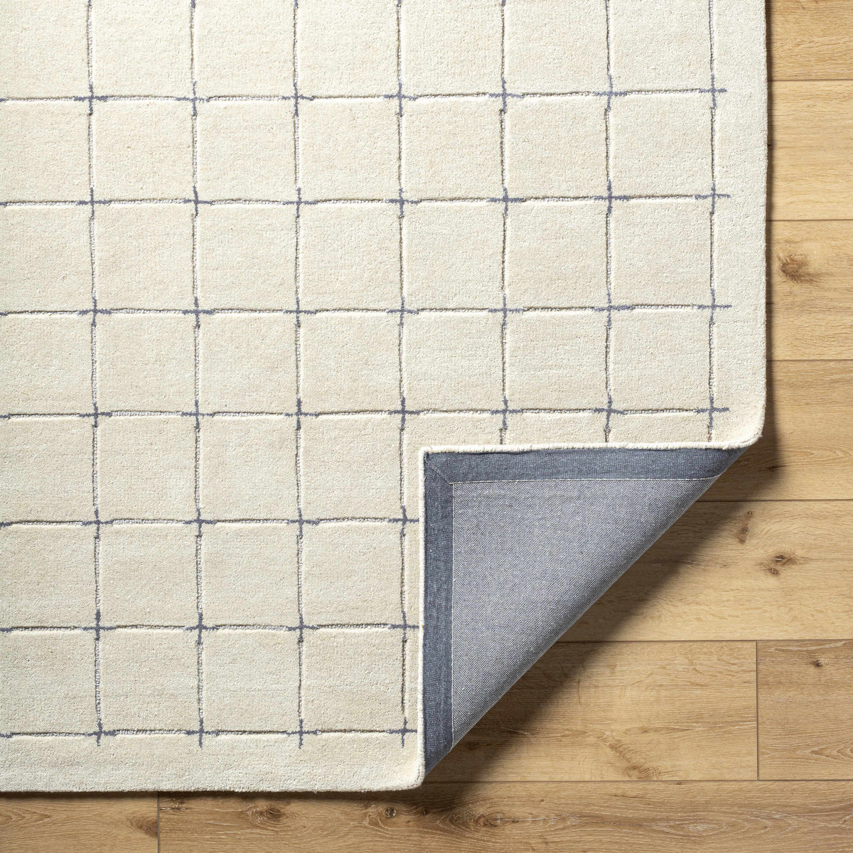 Sanvi Tan Area Rug