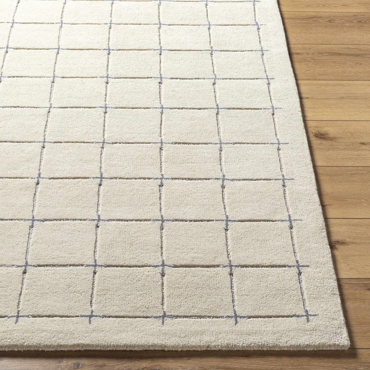 Sanvi Tan Area Rug