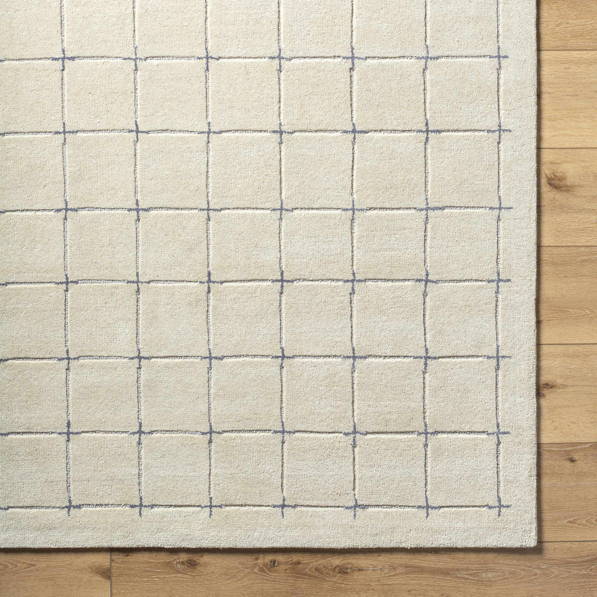 Sanvi Tan Area Rug