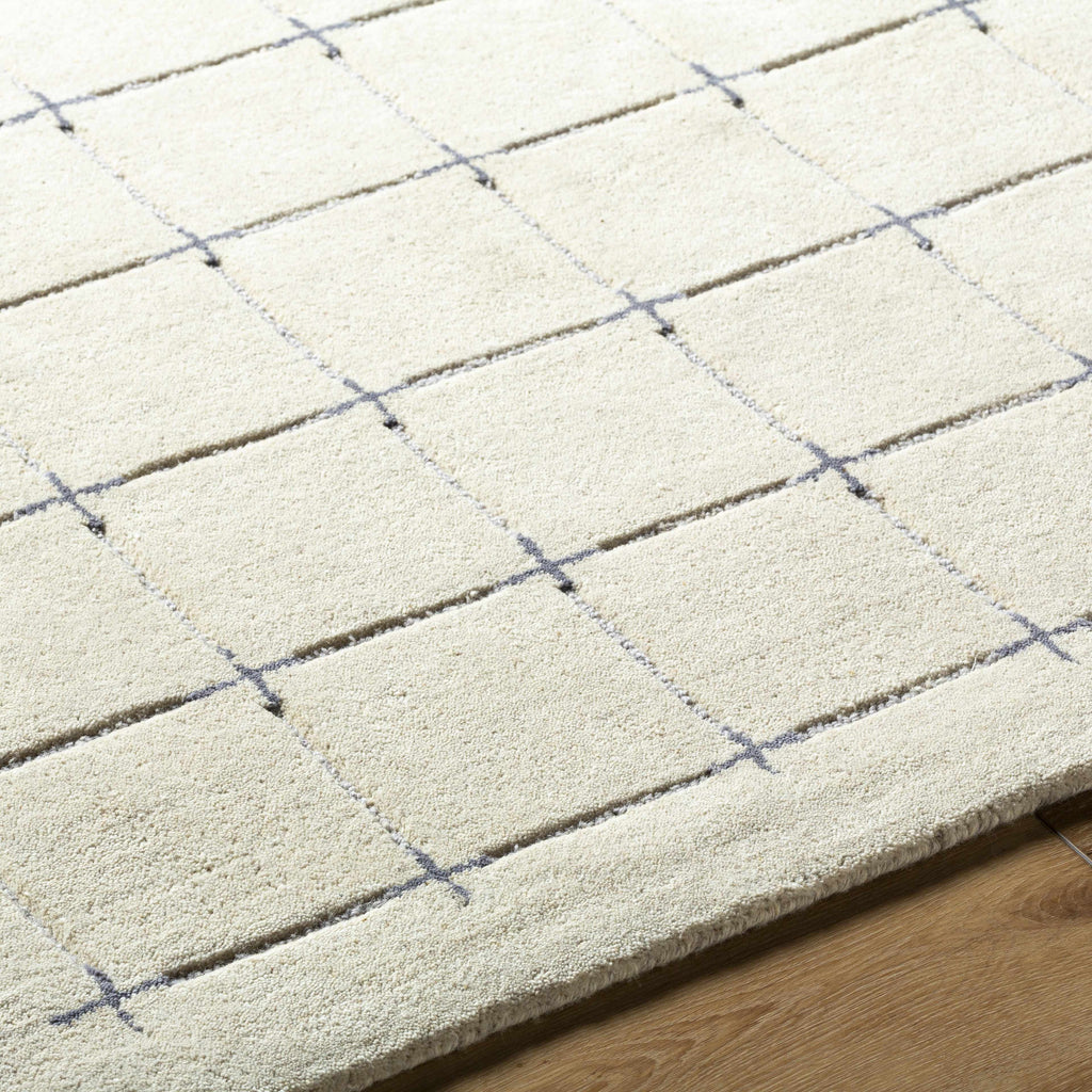Sanvi Tan Area Rug