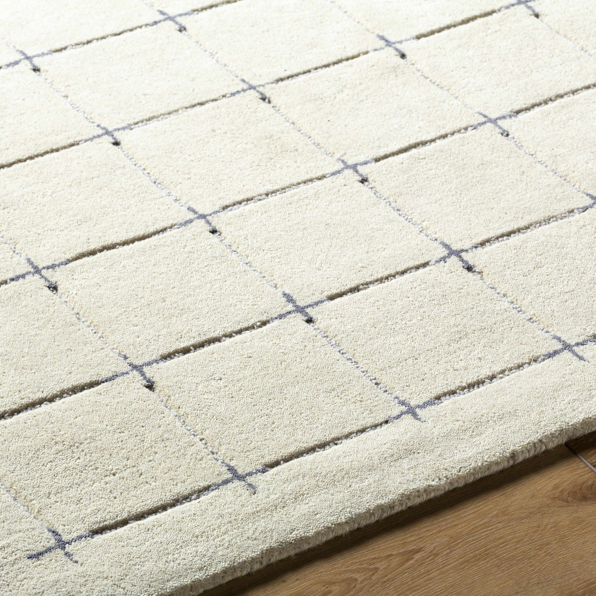 Sanvi Tan Area Rug