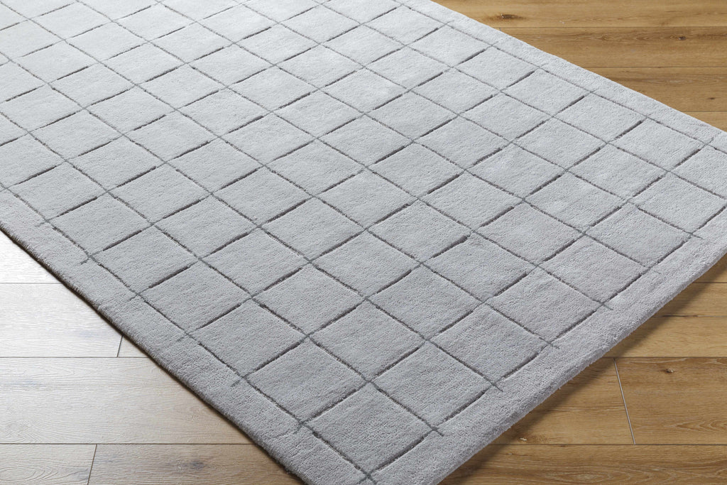 Sanvi Gray Area Rug