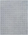 Sanvi Gray Area Rug