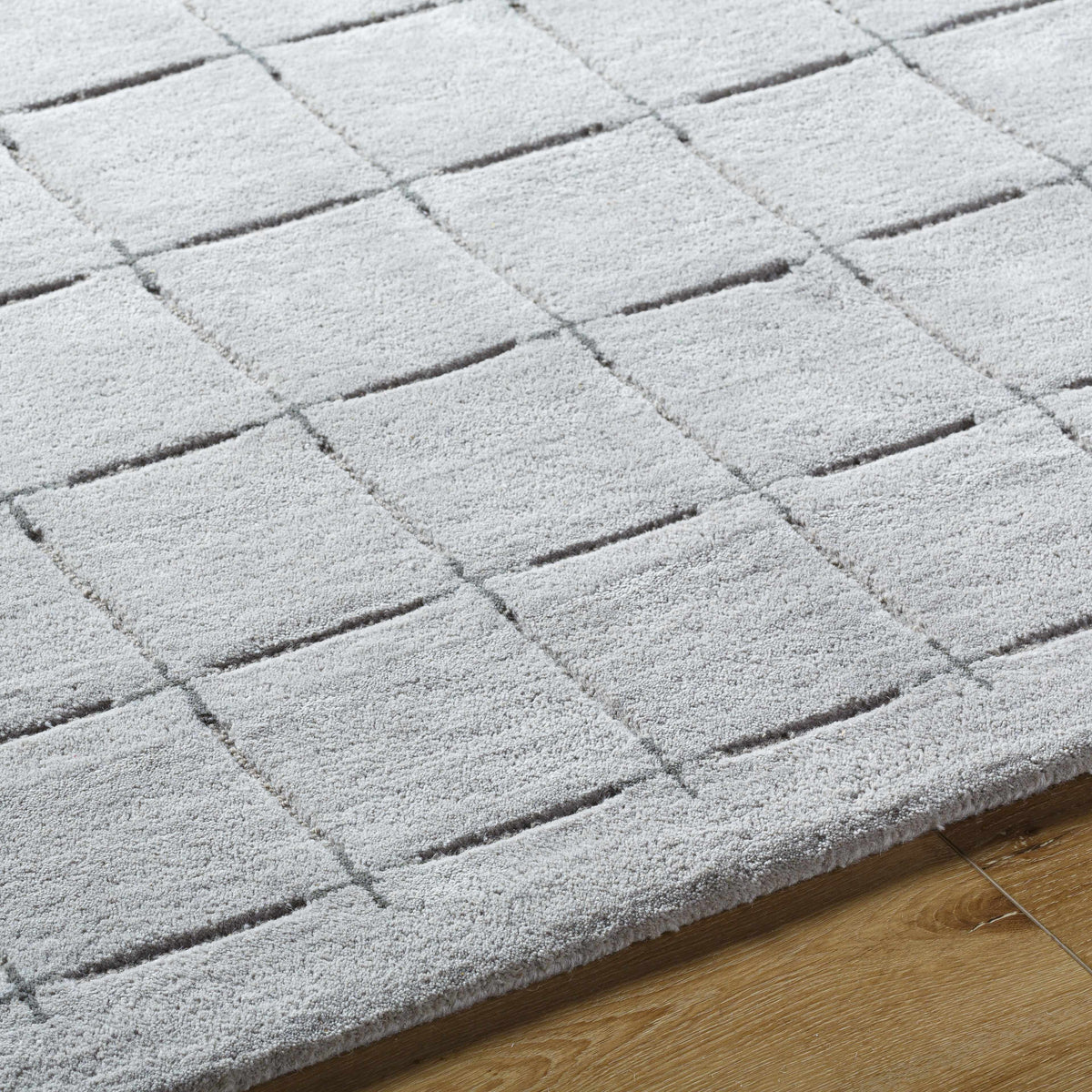 Sanvi Gray Area Rug