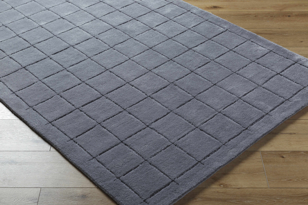 Sanvi Charcoal Area Rug