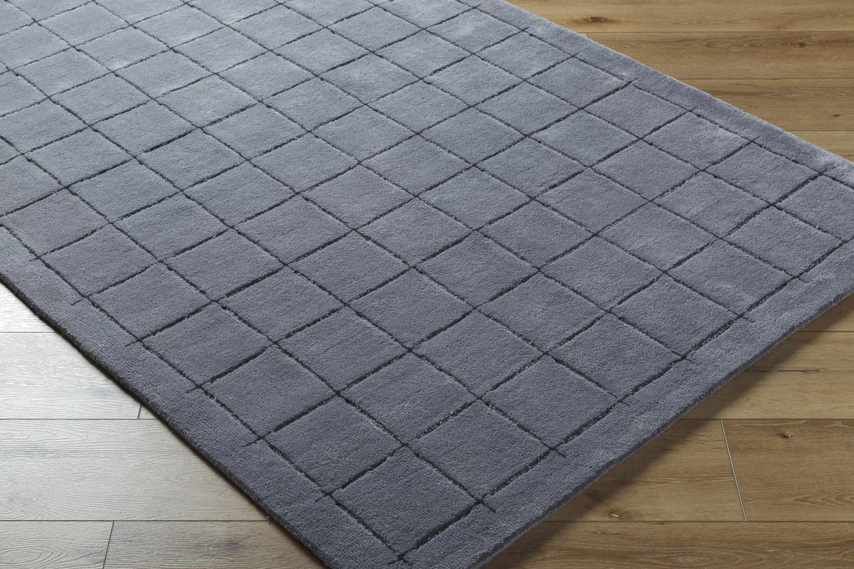 Sanvi Charcoal Area Rug