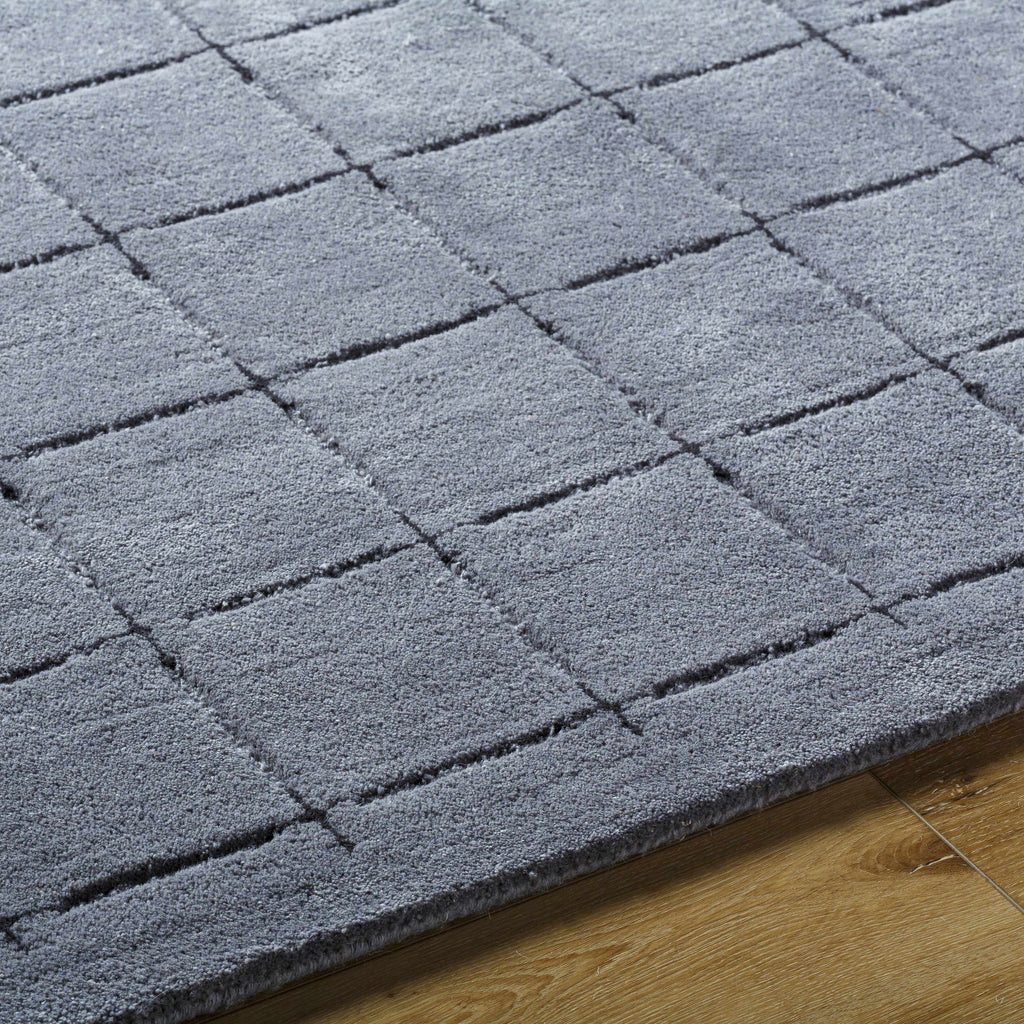 Sanvi Charcoal Area Rug