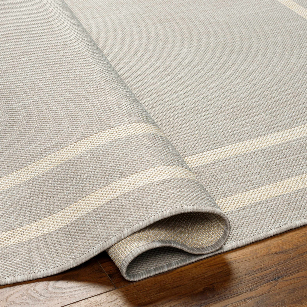 Ilori Light Gray Outdoor Area Rug - Clearance