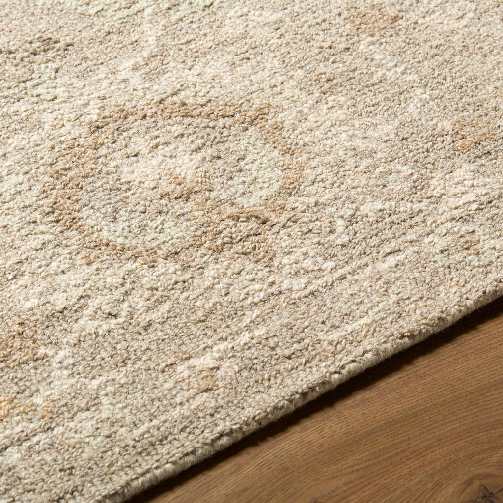 Vililo Traditional Handmade Area Rug