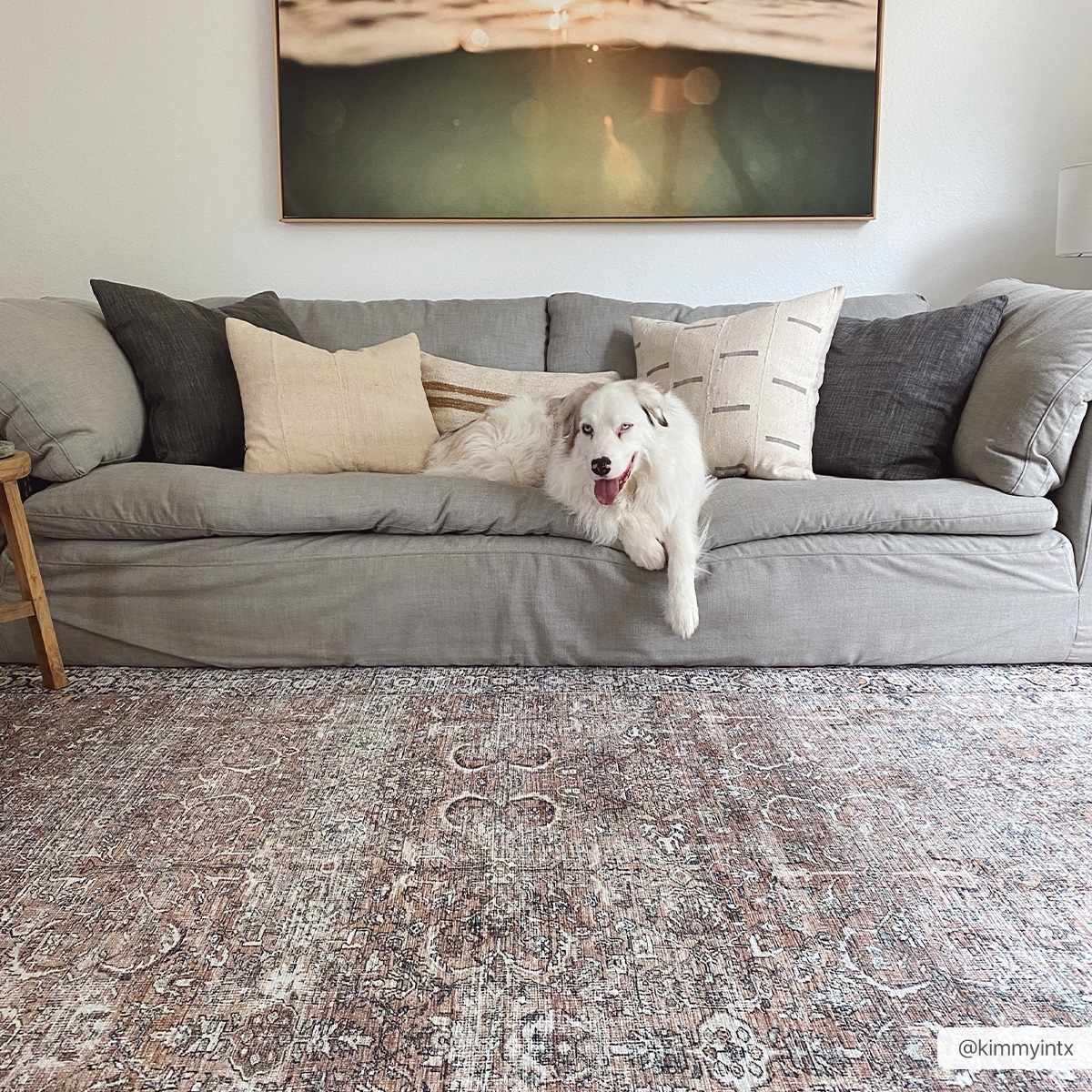 Jill Washable Area Rug - Clearance