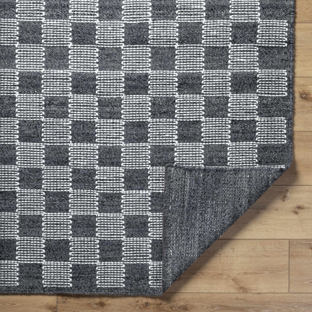 Thijs Area Rug - Clearance