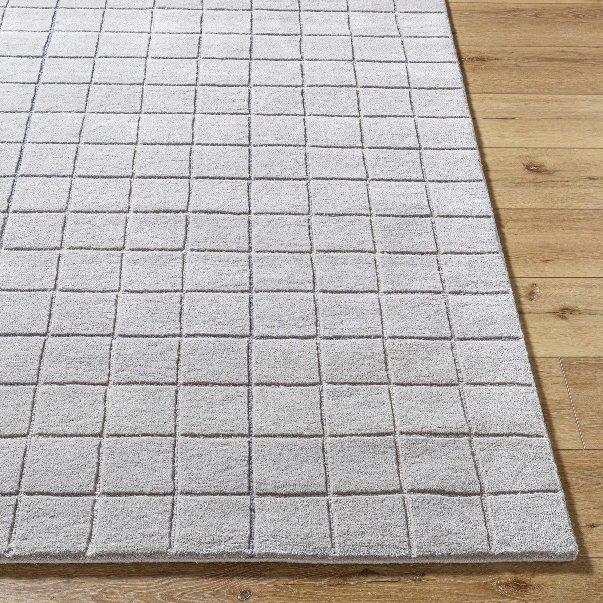 Toshi Sterling Gray Area Rug
