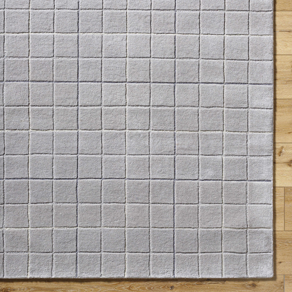 Toshi Sterling Gray Area Rug