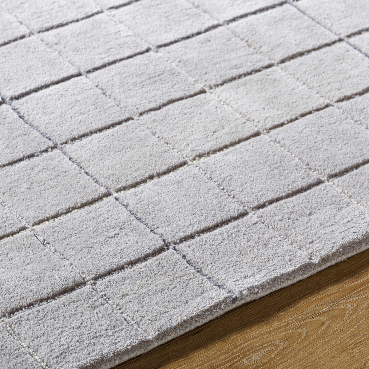 Toshi Sterling Gray Area Rug
