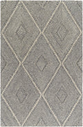 Tene Tufted Wool Area Rug - Clearance
