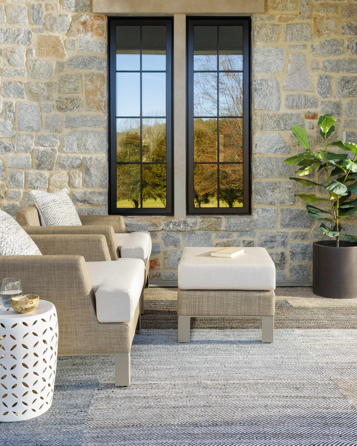Trish Outdoor Area Rug