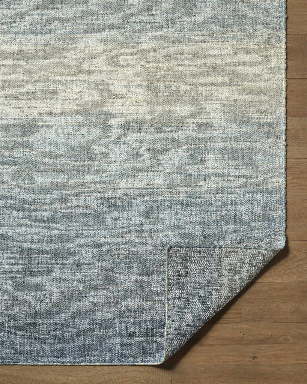Dabney Blue Ombre Area Rug
