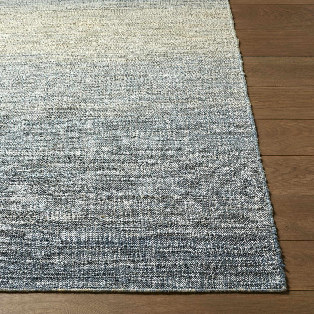 Dabney Blue Ombre Area Rug