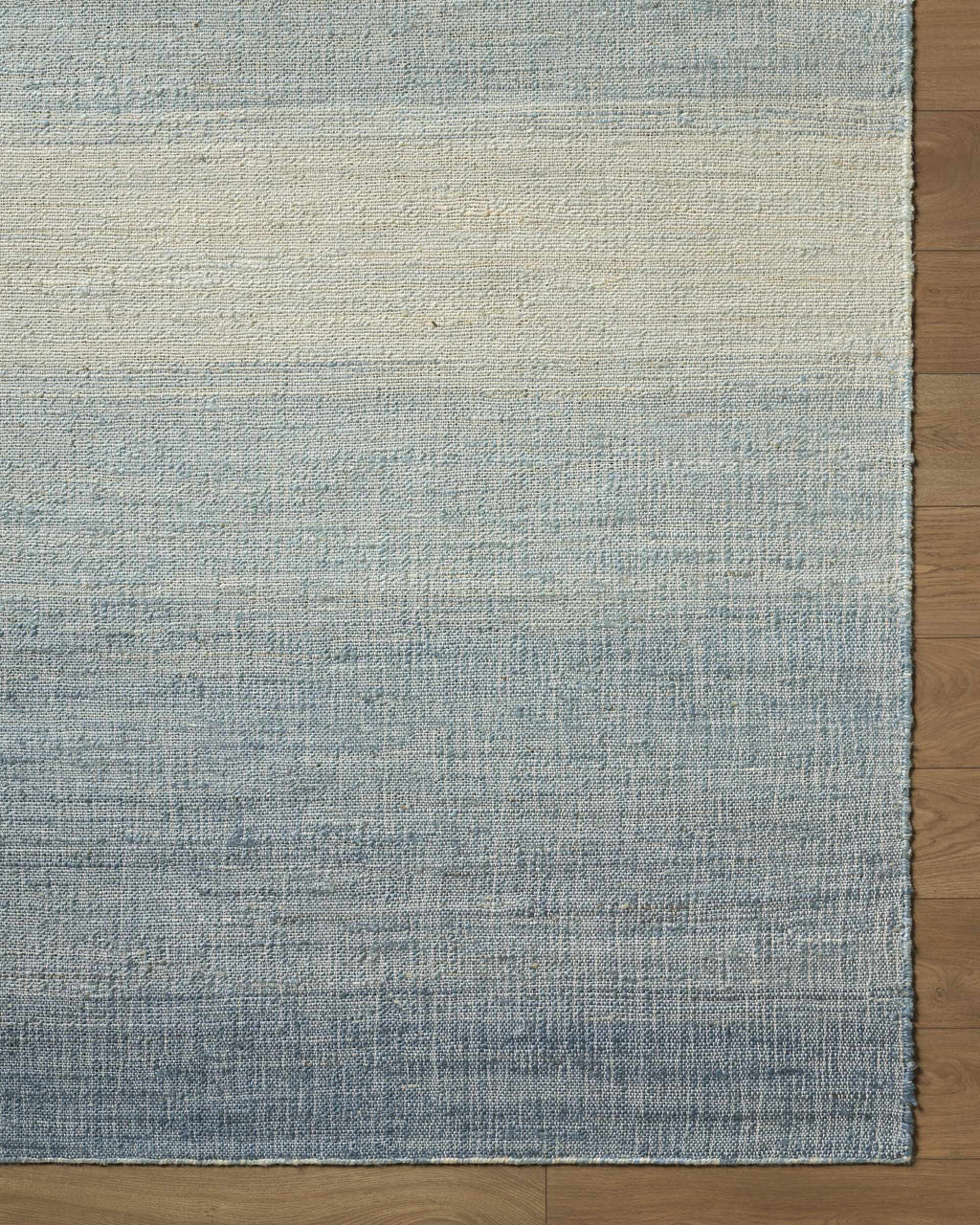 Dabney Blue Ombre Area Rug