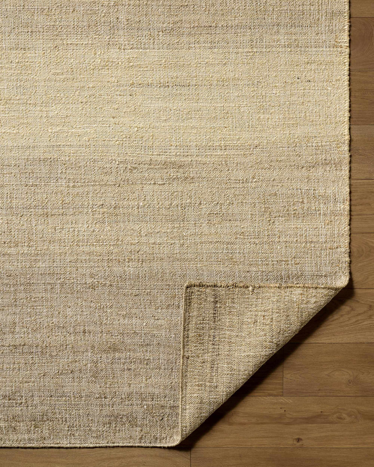 Dabney Brown Ombre Area Rug