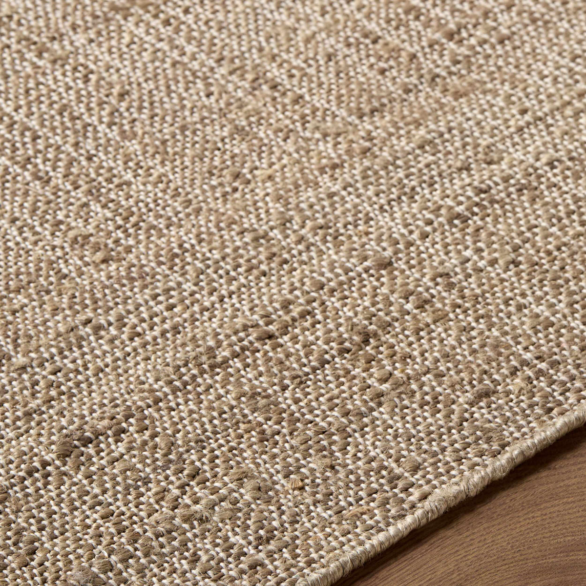 Dabney Brown Ombre Area Rug