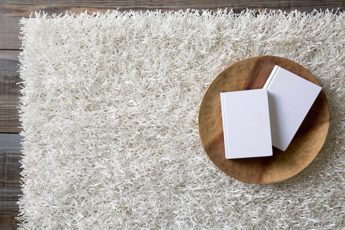 Browder Solid Beige Shag Area Rug - Clearance