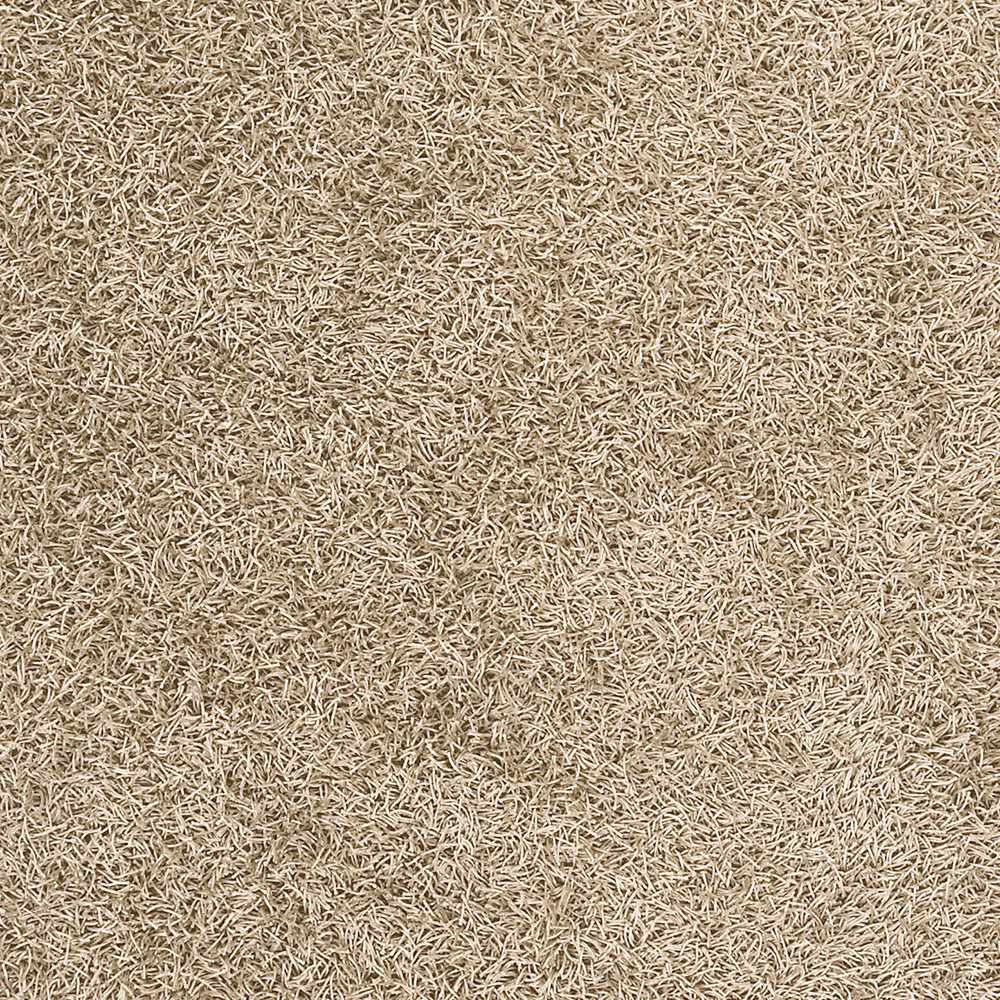 Browder Solid Beige Shag Area Rug - Clearance