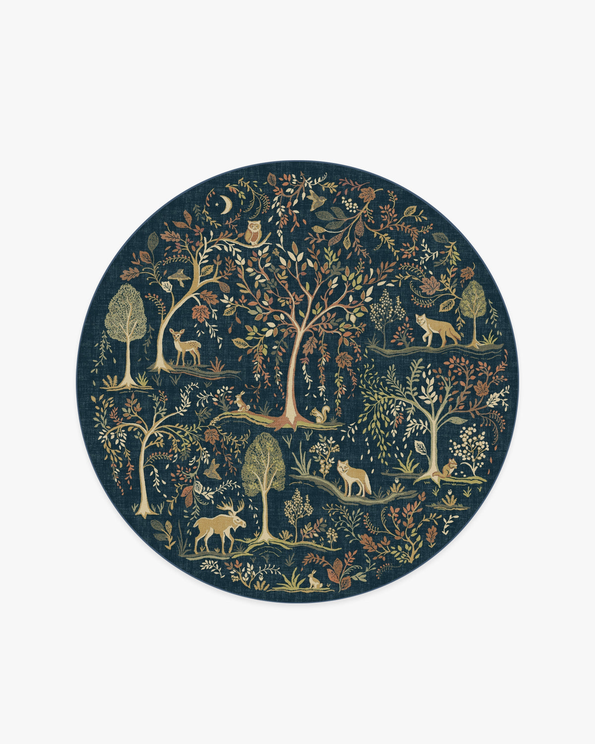 Wilder Blue Multicolor Rug