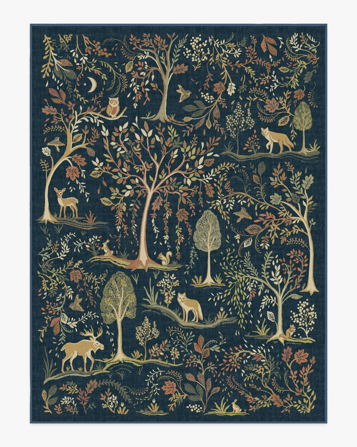 Wilder Blue Multicolor Rug