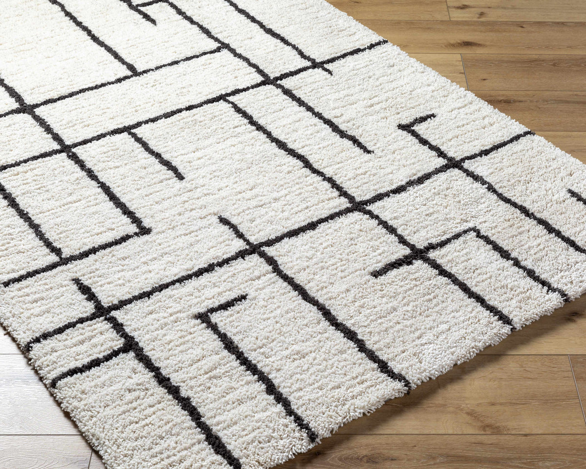 Xenos Area Rug - Clearance