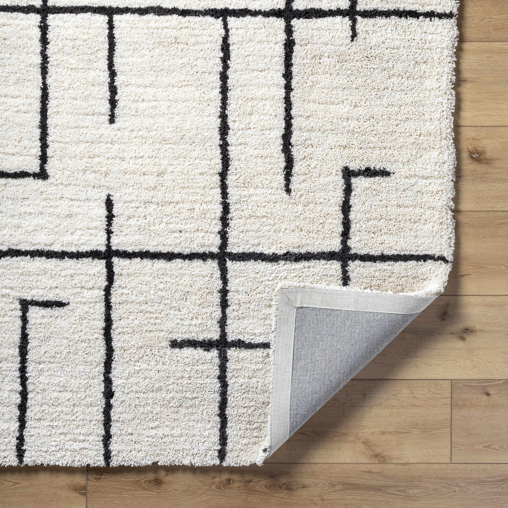 Xenos Area Rug - Clearance