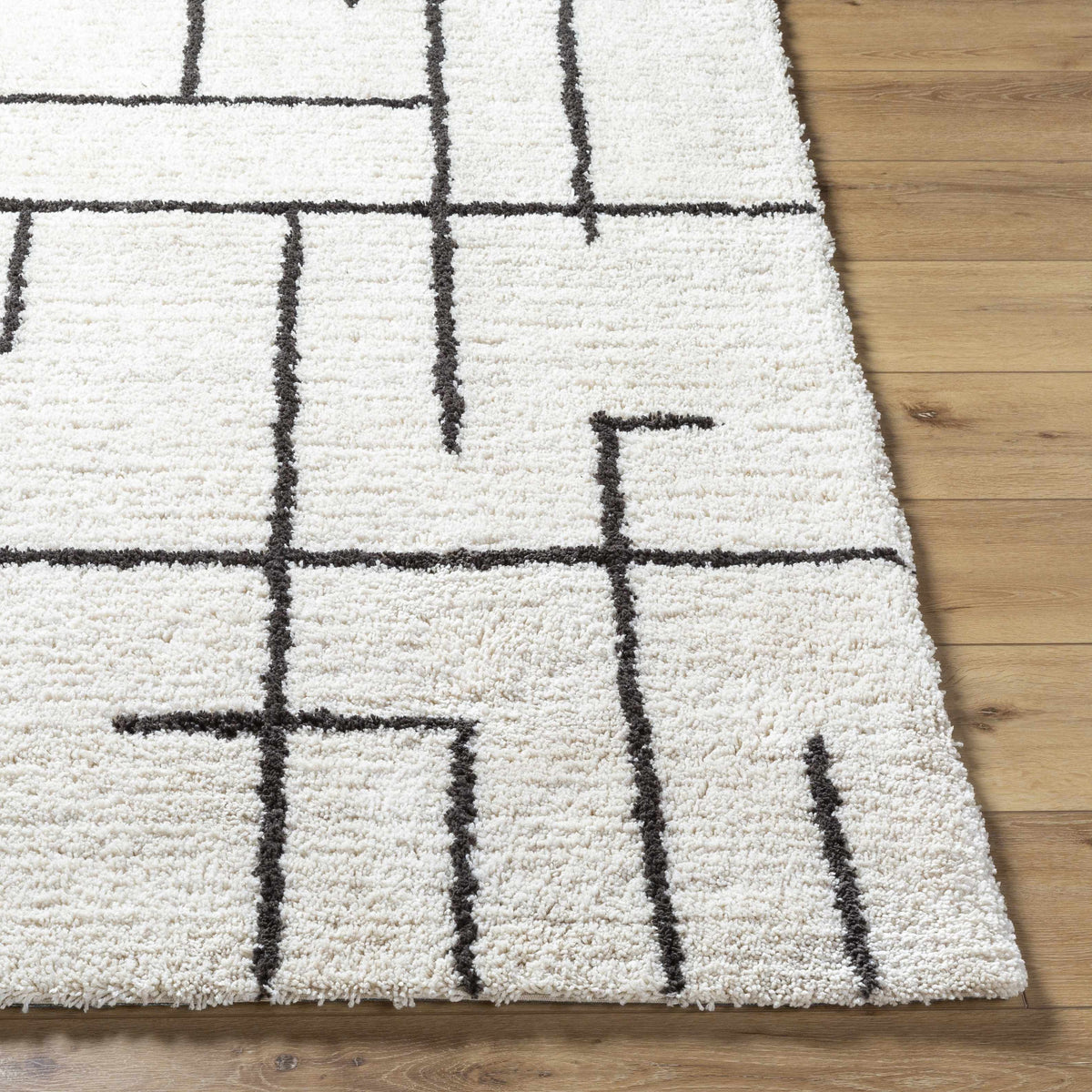 Xenos Area Rug - Clearance